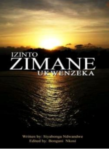 Izinto Zimane Ukwenzeka eBook